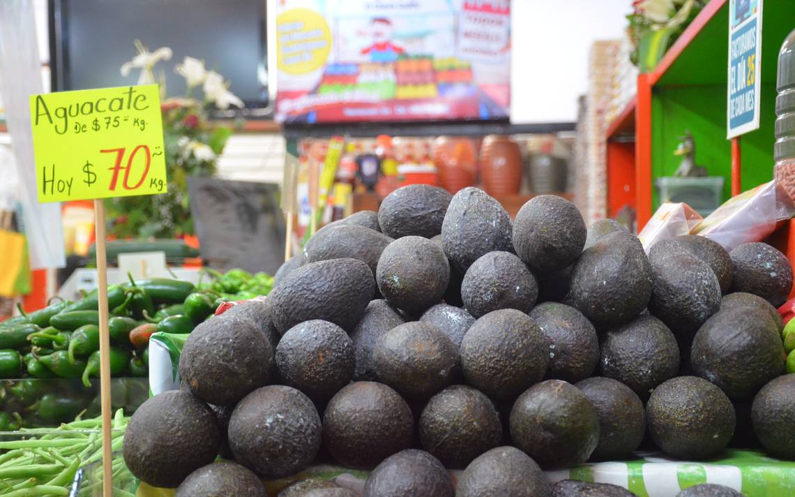 aguacate playa del carmen
