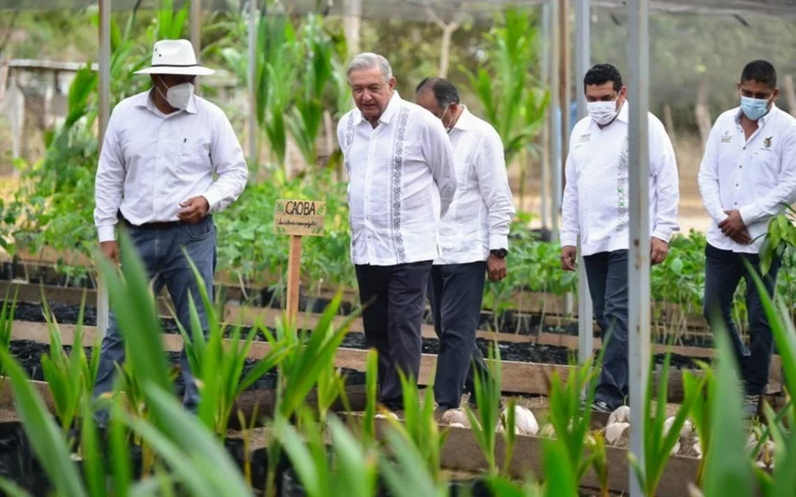 AMLO anuncia su primer gira por el Caribe y Centroamérica