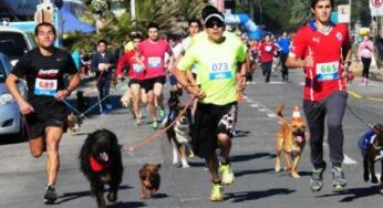 Carrera The Dog & Family Race se llevará a cabo en Playa del Carmen
