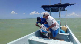Holbox sin agua potable por ruptura de tubería marina