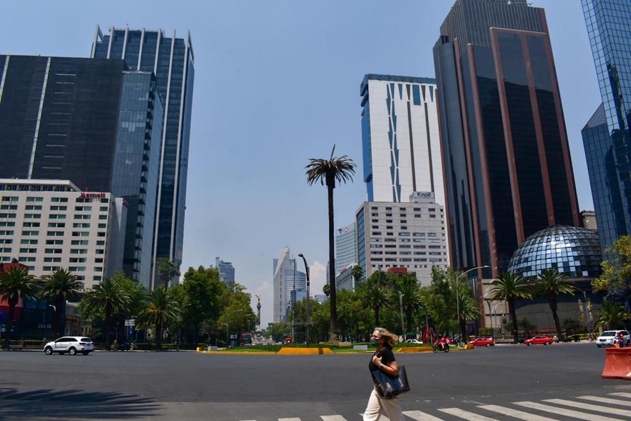 Despiden con flores a la Palmera emblematica de paseo de la Reforma