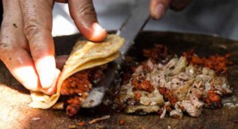 Sujetos que mataban perros para hacer tacos son procesados en CDMX