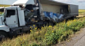 Choca trailer con 4 toneladas de cadáveres de mascotas