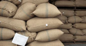 Encuentran cocaina en sacos de café en fabrica Nestlé