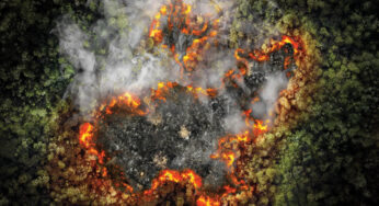 Tras 11 días de combate, logran apagar incendio al Sur de Jalisco
