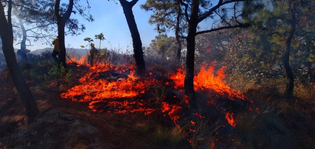 incendios en jalisco