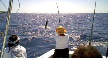 Reprograman Torneo Internacional de Pesca de Isla Mujeres