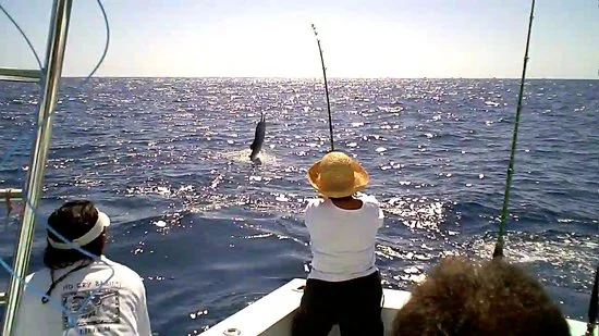 Reprograman Torneo Internacional de Pesca de Isla Mujeres