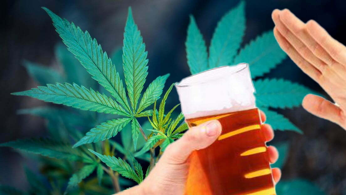 Marihuana a disminuido consumo de alcohol y cigarros