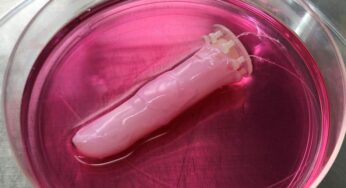 Crean piel ‘humana’ para crear piel viva para robots