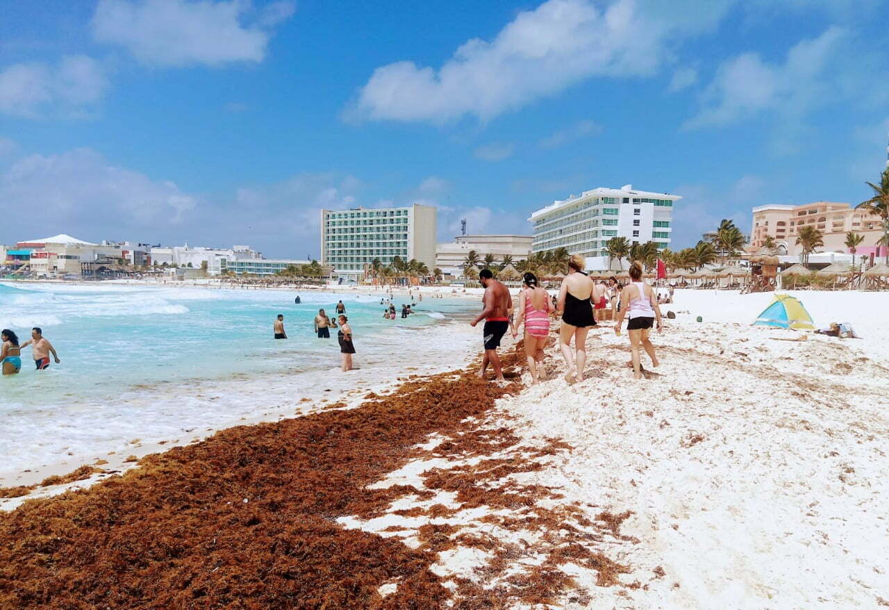 Alertan sobre aumento de sargazo en la zona sur de Quintana Roo