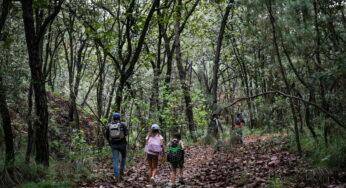 Invitan a niños jaliscienses a taller en el Bosque La Primavera