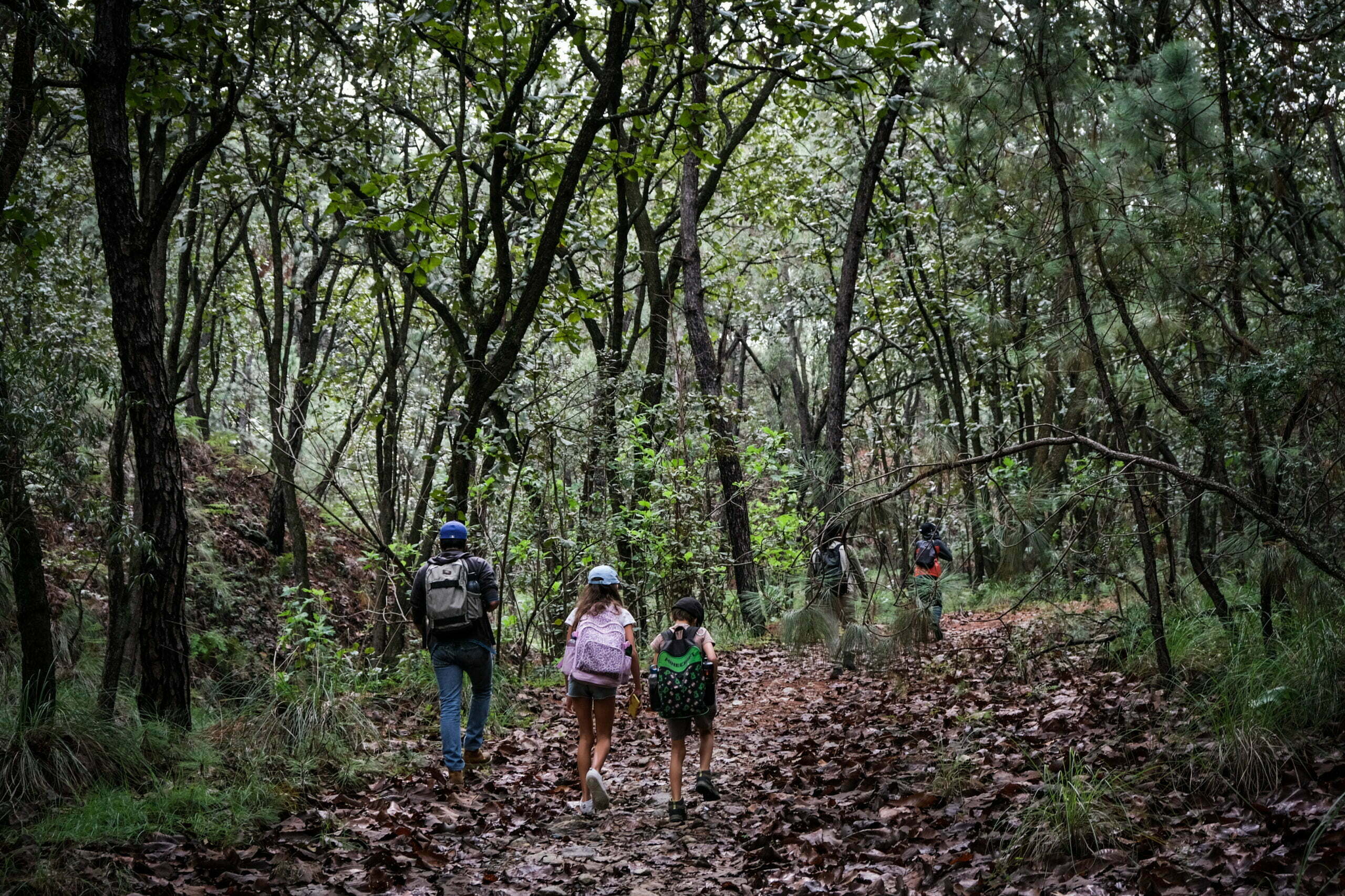 Invitan a niños jaliscienses a taller en el Bosque La Primavera