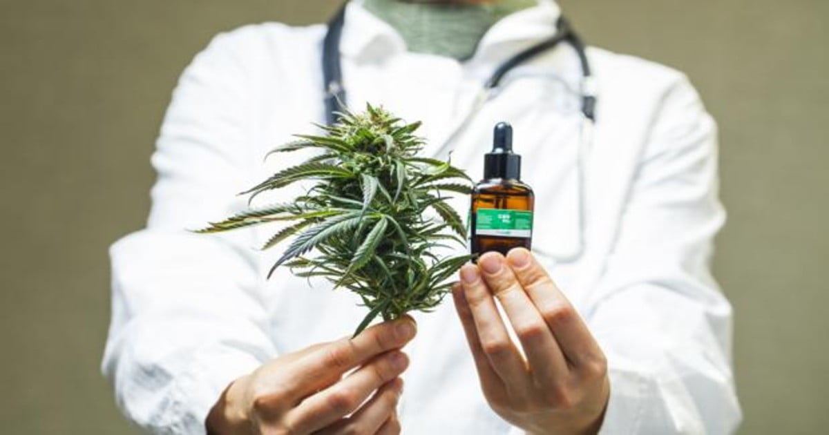 Compuestos de la marihuana que frenan el Covid