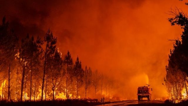 Incendios en Moscú abarcan más de 20 mil hectáreas