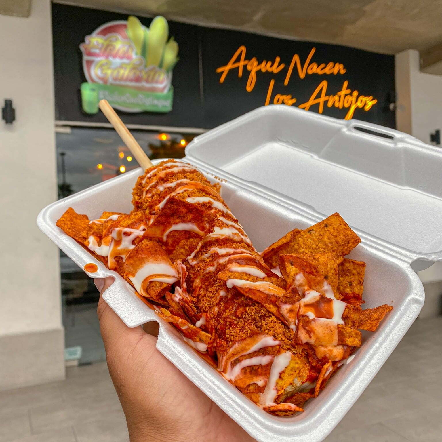 Un año de elotes gratis a quién ayude a encontrar a ‘rateros’