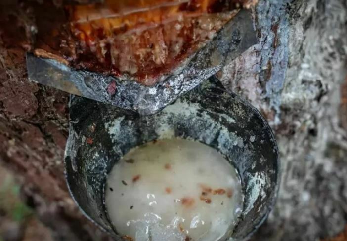 ¿Por qué España está tan interesado en su ‘oro liquido’?