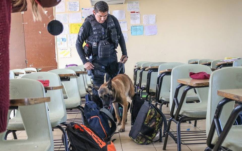 “Operativo mochila” se realizará solo si los padres de familia lo autorizan: SEQ