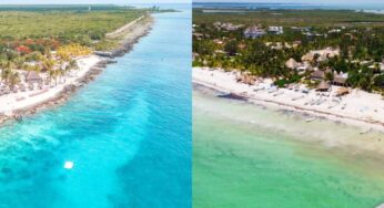Gestiona Mara Lezama cables submarinos para Holbox y Cozumel
