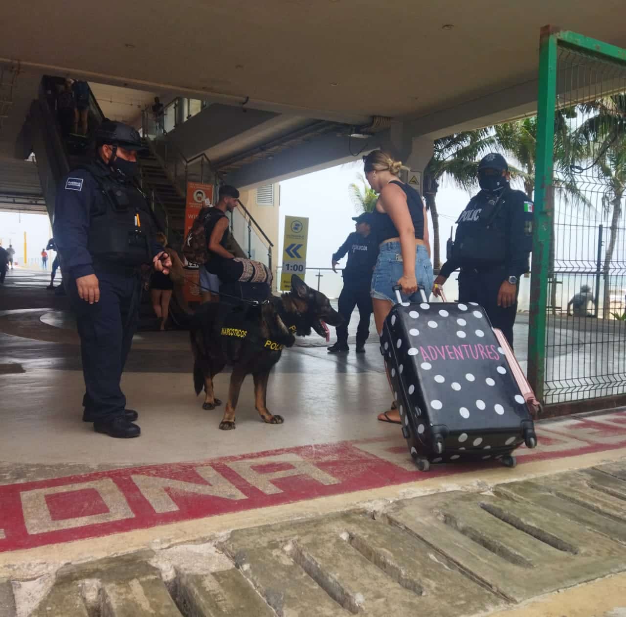 Unidad Canina contribuye en la reducción delictiva en Solidaridad