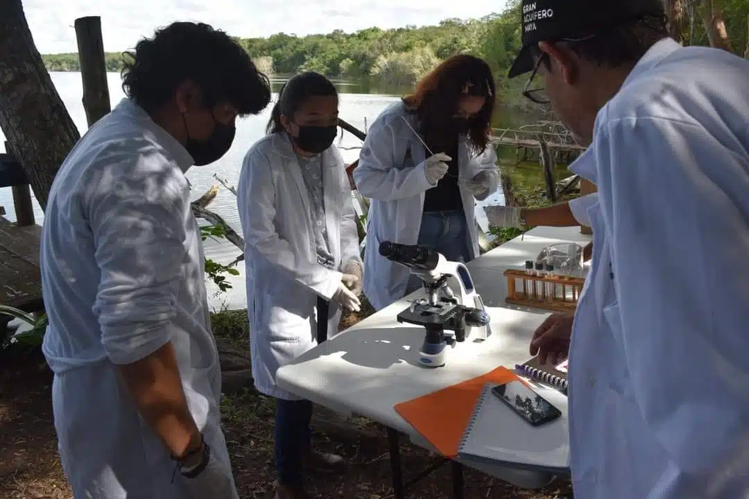 Estudian estromatolitos en la laguna Chichankanab