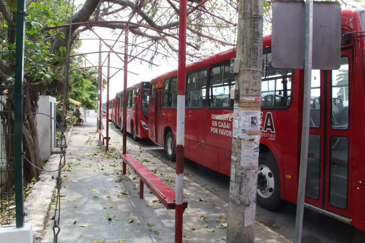 Proyectan corredor exclusivo para autobuses en Cancún en 2023
