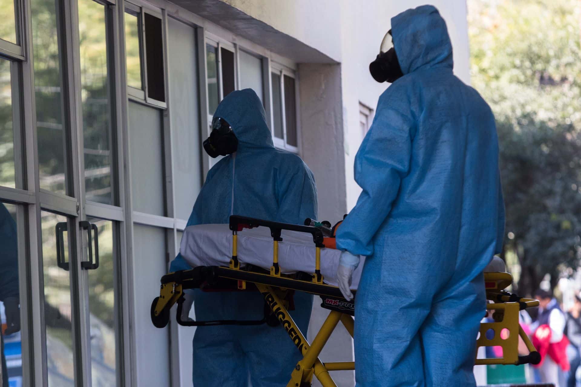 Activan alertas en Oaxaca por casos de rabia en niños