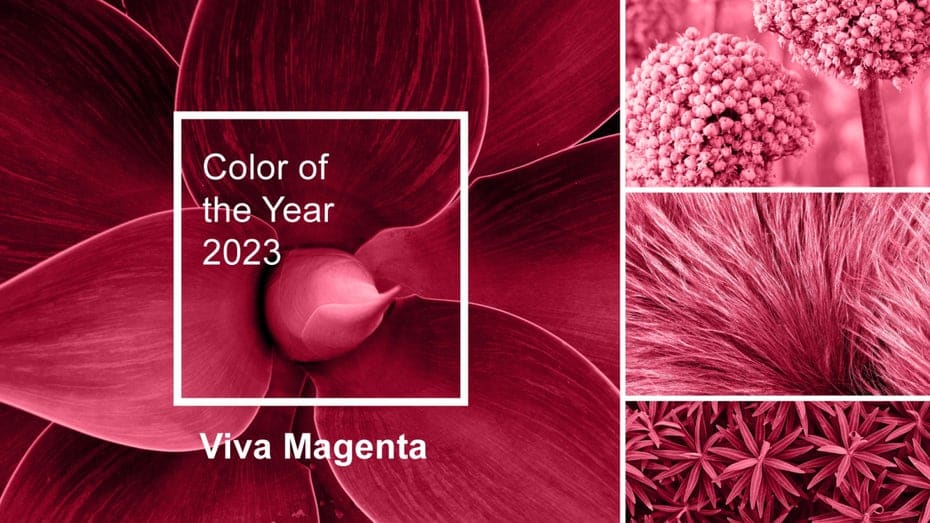 Este es el color del año 2023 de Pantone