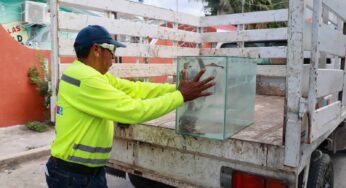 Promueven cuidado del medio ambiente en Isla Mujeres