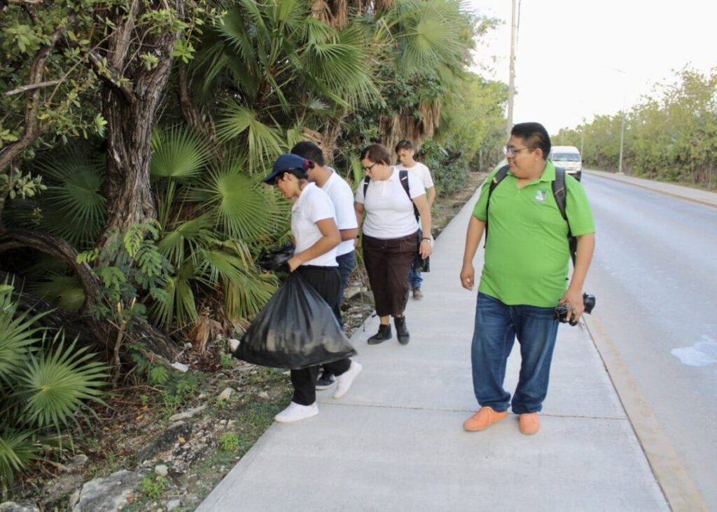 Realizan limpieza de la orilla del manglar, en el principal acceso al Casco Antiguo, a fin de revitalizar ese importante ecosistema.