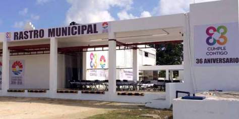 Cierran rastro municipal de Cancún por insalubre