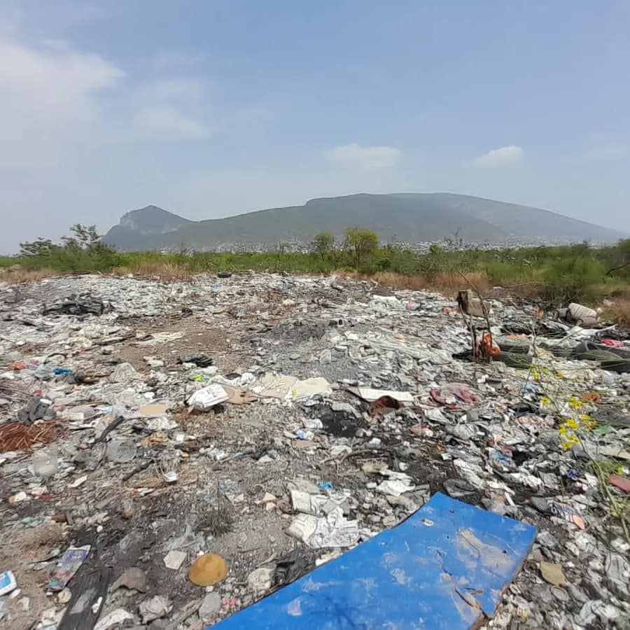 Detienen a cuatro hombres por daño ambiental en NL