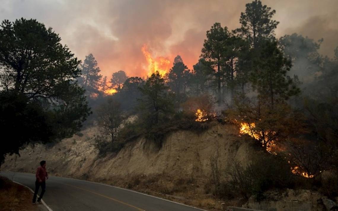 Emiten recomendaciones para prevenir incendios forestales en NL