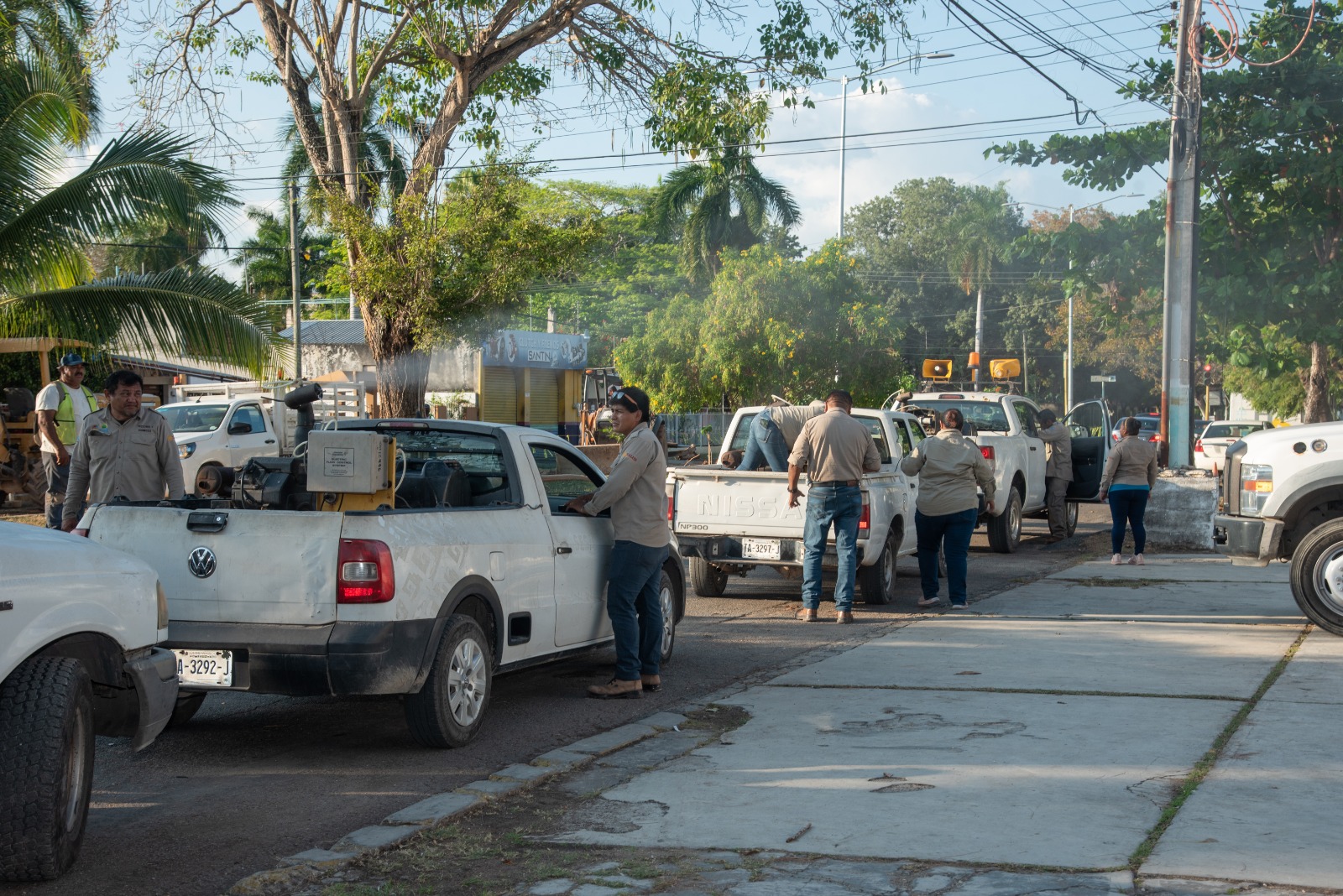 Intensifican acciones contra el dengue, zika y chikungunya