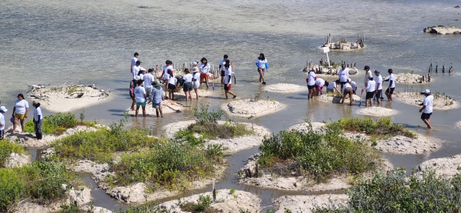 Brindan espacios de aprendizaje en educación ambiental
