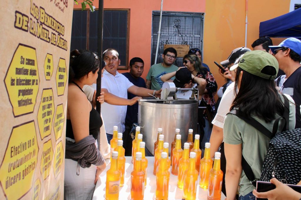 Leona Vicario recibe estudiantes de la Universidad del Caribe para dar a conocer los procesos de producción de la miel orgánica y de tilapia.