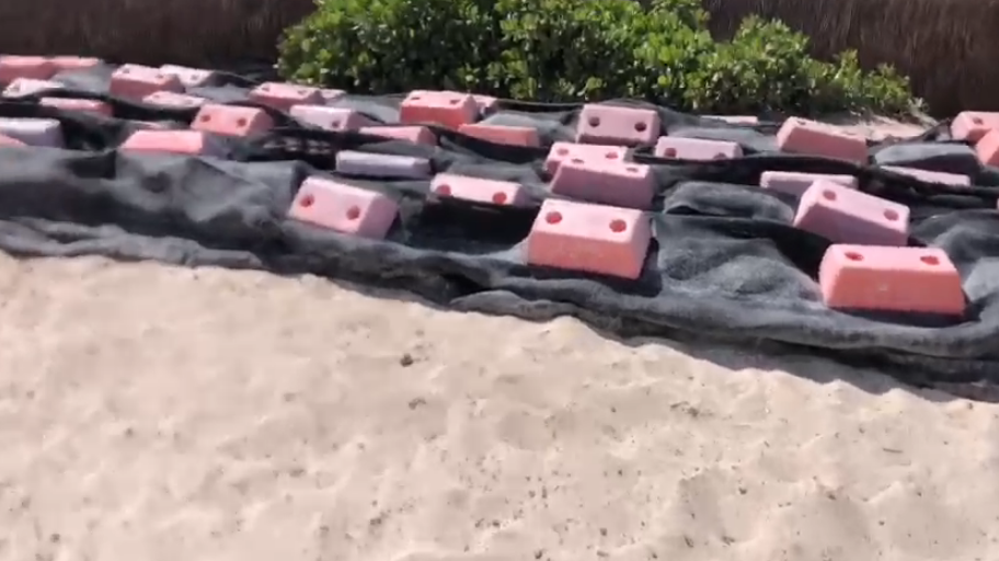 Preparan instalación de barreras antisargazo en Tulum