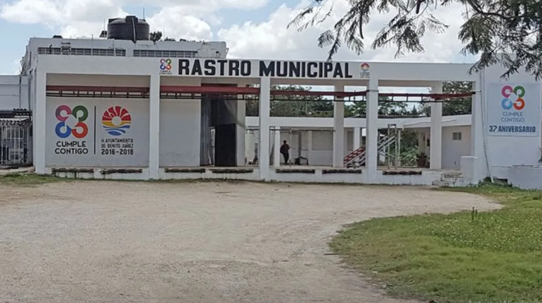 Preparan construcción de un nuevo rastro en Cancún
