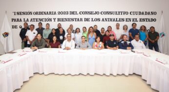 Puerto Morelos reactiva sesión del Consejo Consultivo Ciudadano