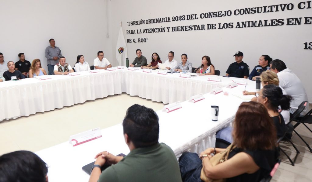 Puerto Morelos reactiva sesiones del Consejo Consultivo Ciudadano para la Atención y Bienestar de los Animales.