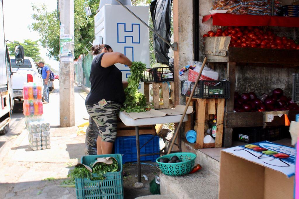 Puerto Morelos rinde frutos la campaña para la regularización de negocios de bajo riesgo para el desarrollo de la economía formal.
