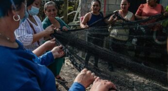 Lanza Gobierno de Quintana Roo convocatorias para fortalecer los Huertos del Bienestar