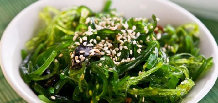 El superalimento recomendado por Harvard para mejorar la salud