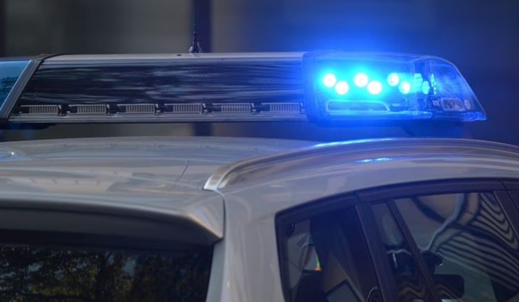 Adolescente salva a su hermana pequeña de un secuestro en Michigan