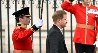 El príncipe Harry pierde su demanda para pagar protección policial en el RU