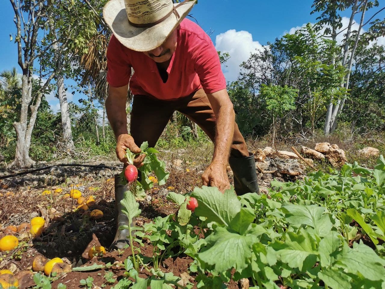 Se abren nuevos mercados para la producción agropecuaria de Leona Vicario