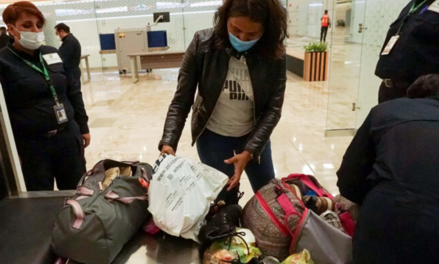 México levantará barrera sanitaria ante plaga de gusano barrenador