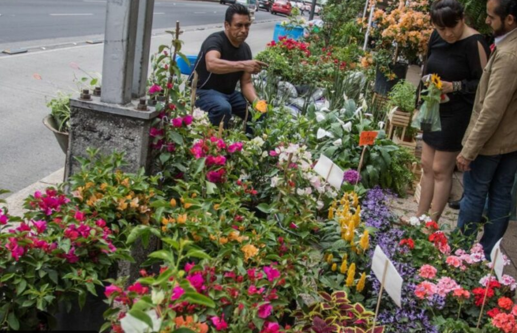 Asiste al Festival de las Flores de Verano en CDMX