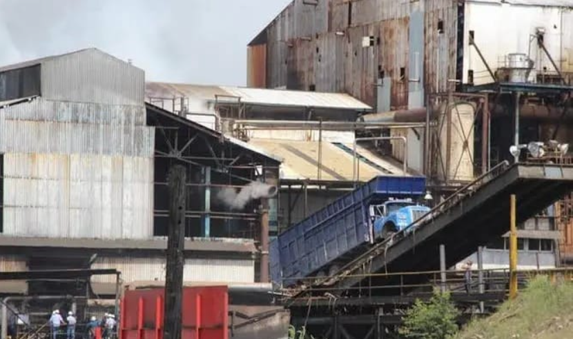 Preparan cañeros contratación de mil centroamericanos, ante escasez de mano de obra