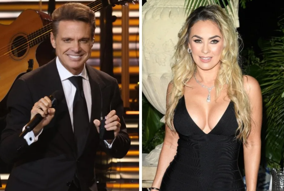 Luis Miguel paga la pensión de sus hijos que adeudaba a Aracely Arámbula